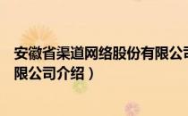 安徽省渠道网络股份有限公司（关于安徽省渠道网络股份有限公司介绍）