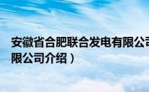 安徽省合肥联合发电有限公司（关于安徽省合肥联合发电有限公司介绍）