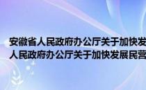 安徽省人民政府办公厅关于加快发展民营医疗机构的意见（关于安徽省人民政府办公厅关于加快发展民营医疗机构的意见介绍）