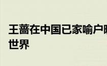 王蔷在中国已家喻户晓但她个人仍然远离网络世界