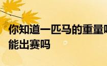 你知道一匹马的重量吗你知道纯血马要几岁才能出赛吗