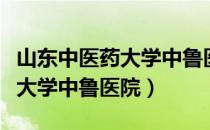 山东中医药大学中鲁医院张思超（山东中医药大学中鲁医院）