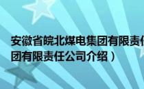 安徽省皖北煤电集团有限责任公司（关于安徽省皖北煤电集团有限责任公司介绍）