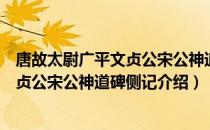 唐故太尉广平文贞公宋公神道碑侧记（关于唐故太尉广平文贞公宋公神道碑侧记介绍）