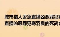 城市猎人紧急直播凶恶罪犯寒羽良的死（关于城市猎人紧急直播凶恶罪犯寒羽良的死简介）