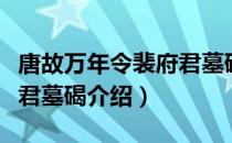 唐故万年令裴府君墓碣（关于唐故万年令裴府君墓碣介绍）