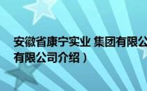 安徽省康宁实业 集团有限公司（关于安徽省康宁实业 集团有限公司介绍）