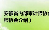 安徽省内部审计师协会（关于安徽省内部审计师协会介绍）