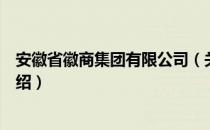 安徽省徽商集团有限公司（关于安徽省徽商集团有限公司介绍）