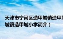 天津市宁河区造甲城镇造甲城小学（关于天津市宁河区造甲城镇造甲城小学简介）