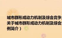 城市群形成动力机制及综合竞争力提升研究：以山东半岛城市群为例（关于城市群形成动力机制及综合竞争力提升研究：以山东半岛城市群为例简介）