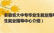 安徽省大中专毕业生就业指导中心（关于安徽省大中专毕业生就业指导中心介绍）