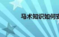 马术知识如何安全地跳跃障碍