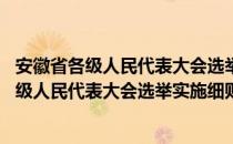 安徽省各级人民代表大会选举实施细则 试行（关于安徽省各级人民代表大会选举实施细则 试行介绍）