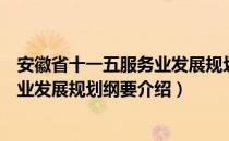 安徽省十一五服务业发展规划纲要（关于安徽省十一五服务业发展规划纲要介绍）