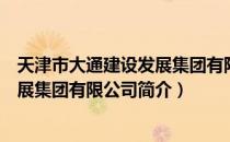 天津市大通建设发展集团有限公司（关于天津市大通建设发展集团有限公司简介）