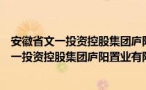 安徽省文一投资控股集团庐阳置业有限公司（关于安徽省文一投资控股集团庐阳置业有限公司介绍）