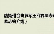 唐扬州仓曹参军王府君墓志铭（关于唐扬州仓曹参军王府君墓志铭介绍）