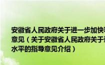 安徽省人民政府关于进一步加快利用外资步伐提高利用外资水平的指导意见（关于安徽省人民政府关于进一步加快利用外资步伐提高利用外资水平的指导意见介绍）