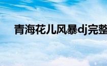 青海花儿风暴dj完整版（青海花儿风暴）