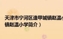 天津市宁河区造甲城镇赵温小学（关于天津市宁河区造甲城镇赵温小学简介）