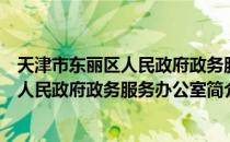 天津市东丽区人民政府政务服务办公室（关于天津市东丽区人民政府政务服务办公室简介）