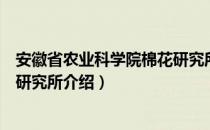 安徽省农业科学院棉花研究所（关于安徽省农业科学院棉花研究所介绍）