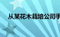 从某花木栽培公司手中购入花卉1100盆