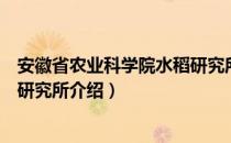 安徽省农业科学院水稻研究所（关于安徽省农业科学院水稻研究所介绍）