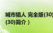 城市猎人 完全版(30)（关于城市猎人 完全版(30)简介）