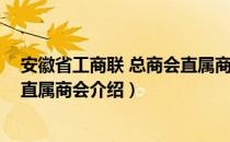 安徽省工商联 总商会直属商会（关于安徽省工商联 总商会直属商会介绍）