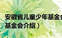 安徽省儿童少年基金会（关于安徽省儿童少年基金会介绍）