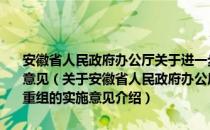 安徽省人民政府办公厅关于进一步推进省属企业结构调整和重组的实施意见（关于安徽省人民政府办公厅关于进一步推进省属企业结构调整和重组的实施意见介绍）