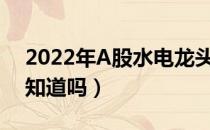 2022年A股水电龙头上市公司有哪些（你都知道吗）