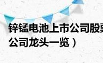 锌锰电池上市公司股票有哪些（锌锰电池上市公司龙头一览）