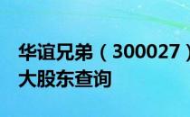 华谊兄弟（300027）股东排名：华谊兄弟十大股东查询