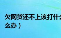 欠网贷还不上该打什么电话（欠网贷还不上怎么办）