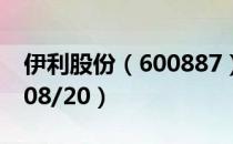 伊利股份（600887）今日股价多少（2020/08/20）