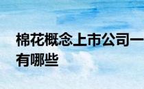 棉花概念上市公司一览2022年棉花上市公司有哪些