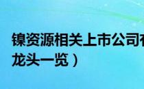 镍资源相关上市公司有哪些（镍资源上市公司龙头一览）