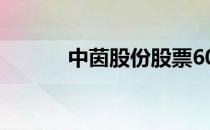 中茵股份股票600745资料查询