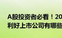 A股投资者必看！2022年超薄玻璃概念主要利好上市公司有哪些