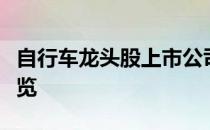 自行车龙头股上市公司有哪些自行车概念股一览