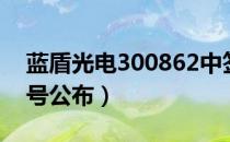 蓝盾光电300862中签号查询（300862中签号公布）