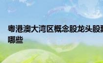 粤港澳大湾区概念股龙头股票一览粤港澳大湾区上市公司有哪些