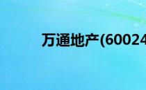 万通地产(600246)股票公司简介