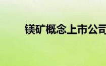 镁矿概念上市公司2021年名单一览