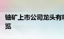 铀矿上市公司龙头有哪些铀矿上市公司概念一览