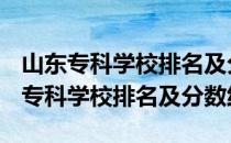 山东专科学校排名及分数线-2018-2019山东专科学校排名及分数线