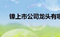 镍上市公司龙头有哪些镍股票概念一览